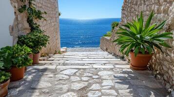 Stunning coastal pathway leading to serene blue sea, surrounded by greenery photo