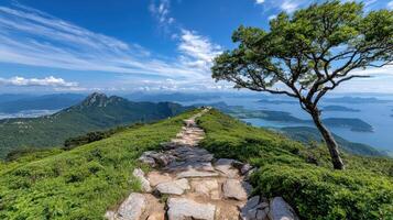 Stunning mountain views with winding path and lush greenery photo