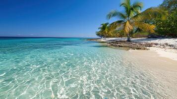 Crystal clear water and palm trees on tropical beach paradise photo