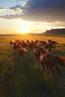 Herd of horses running through the open grassland at sunset photo