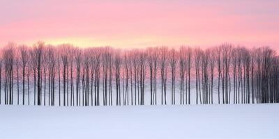 Snowy landscape at dawn with bare trees silhouetted against pink sky photo