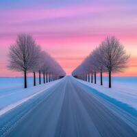 Snowy road lined with trees at sunset near a winter landscape photo