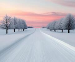 Snow-covered road lined with frosty trees at sunset in winter landscape photo