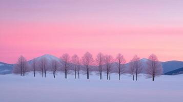 Winter landscape with snow-covered trees and colorful sky at sunset photo