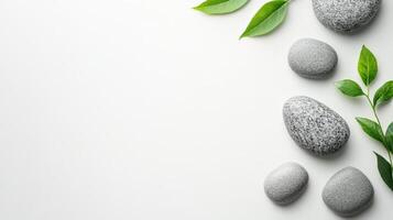 Peaceful Natural Scenery with Rocks and Green Leaves for Relaxation and Meditation photo