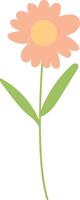 spring flowers with pink color vector