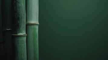 Tall green bamboo stalks against a dark green background create a calming natural decor element photo