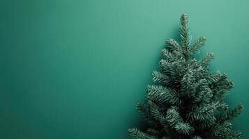 Christmas tree stands against a solid green wall, ready for holiday decorations and celebration preparations photo