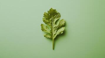Fresh green leaf of cilantro resting on a pale green background highlighting its texture and color photo