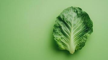 Fresh green lettuce leaf on a soft green background showcasing its crisp texture and vibrant color photo