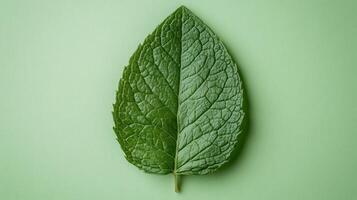 Bright green leaf on a soft green background showcasing intricate texture and natural beauty photo