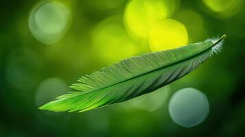 Delicate green feather suspended in the air against a vibrant blurred background of greenery photo