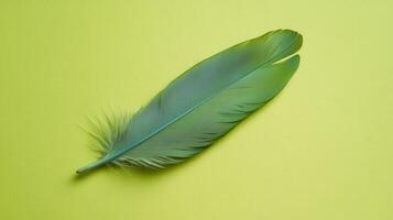 Beautiful green feather resting on a vibrant yellow background, showcasing fine details and textures in natural light photo