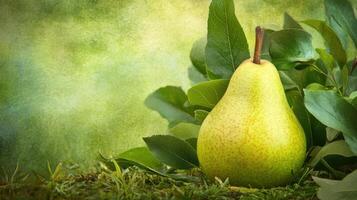 Fresh green pear resting on lush green leaves in a natural setting during daylight photo