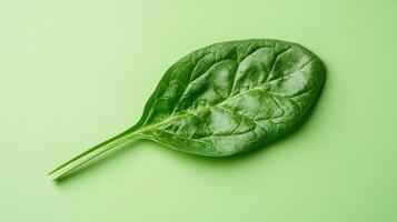 Fresh spinach leaf resting on a green surface enhances the visual appeal of healthy cooking photo