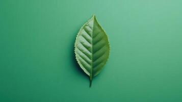Bright green leaf placed on a smooth green surface highlighting its ribbed texture and vibrant color photo