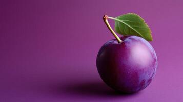 A single plum on a purple background photo