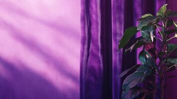 A plant is sitting next to a purple wall photo