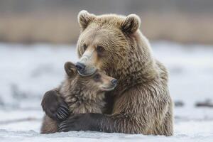 Brown bear embracing cub on frozen lake photo