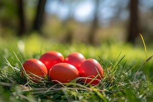 Bright red easter eggs hiding in green grass on sunny day photo