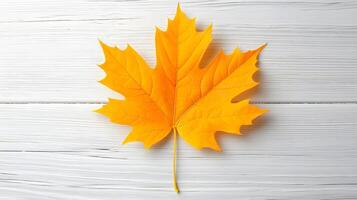 Bright Yellow Maple Leaf on Light Wooden Surface Background photo