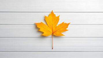 Bright Yellow Maple Leaf on Light Wooden Background for Fall Decor photo