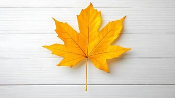 Bright Yellow Maple Leaf on White Wooden Surface Background photo