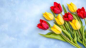 Colorful Red and Yellow Tulips Against Light Blue Background photo