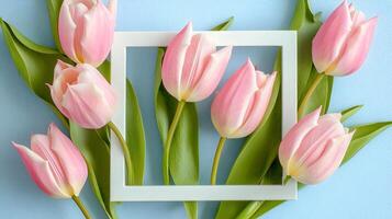 Fresh Pink Tulips in Frame with Green Leaves on Soft Blue Background photo