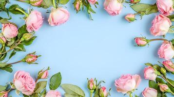 Delicate Pink Roses Framed on Soft Blue Background for Decoration photo