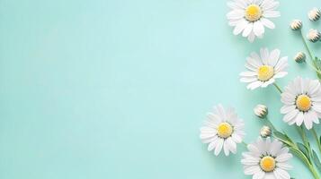 Fresh White Daisies on Soft Mint Background for Spring Inspiration photo