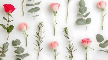 Fresh Roses and Green Leaves Arrangement on White Background photo
