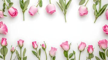Fresh Pink Roses Arranged with Green Leaves on a White Background photo