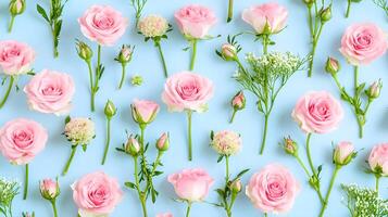 Beautiful Pink Roses and Greenery on Soft Blue Background photo