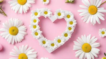 Heart Shape Frame with White Daisies on Pink Background photo