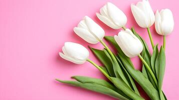 White Tulips Arrangement on Pink Background for Spring Inspiration photo