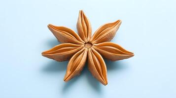 Dried Star Anise Spice Flower on Light Blue Background photo