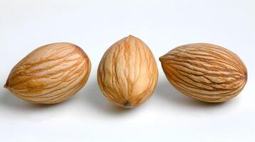 Three Striped Exotic Nuts on a White Background Close-Up photo