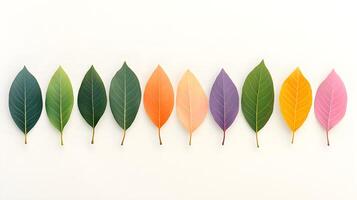 Gradient of Colorful Leaves Against Light Background with Lush Details photo
