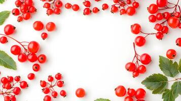 Bright Red Berries and Green Leaves on White Background Display photo