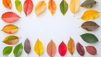 Colorful Autumn Leaves Arranged in a Circular Pattern on White Background photo