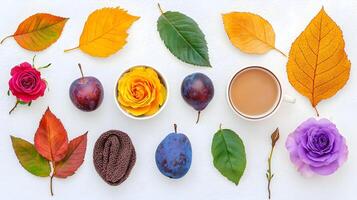 Colorful Autumn Arrangement with Fresh Fruits and Floral Elements photo