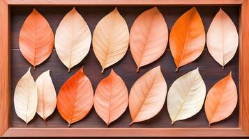 Colorful Decorated Leaves Arranged in a Wooden Frame Display photo