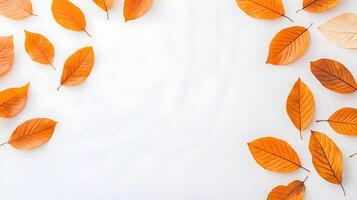 Autumn Leaves on White Background Creating a Calm and Peaceful Scene photo