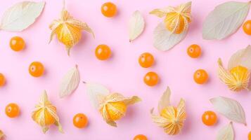 Colorful Arrangement of Physalis and Round Orange Berries on Pink photo