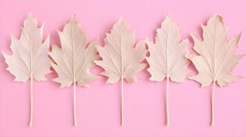 Delicate Dried Leaves Arranged on Soft Pink Background photo