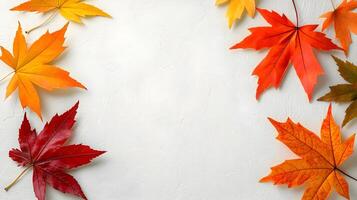 Colorful Autumn Leaves Frame on Light Textured Background photo
