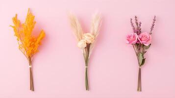 Colorful Floral Arrangements on Pink Background Displaying Beauty photo