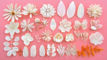 Elegant Collection of White and Cream Floral Elements on Pink Background photo