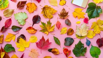 Colorful Fall Leaves on Pink Background for Seasonal Design photo